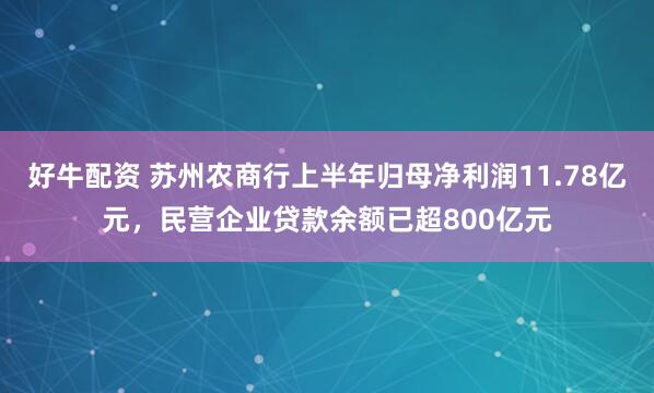 好牛配资 苏州农商行上半年归母净利润11.78亿元，民营企业贷款余额已超800亿元